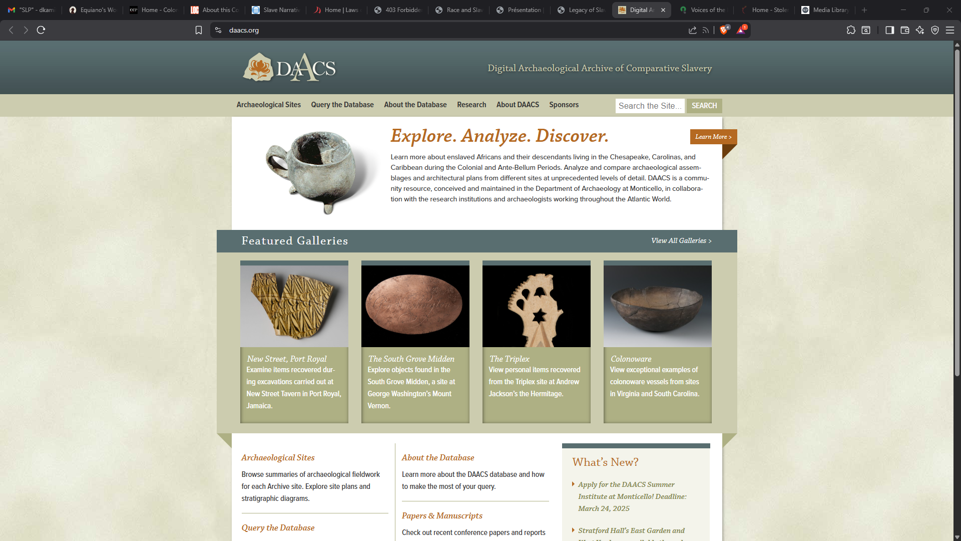 Digital Archaeological Archive of Comparative Slavery